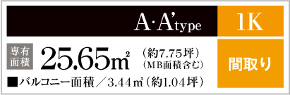 A・A'type