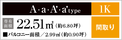 A·a·A’·a’type
