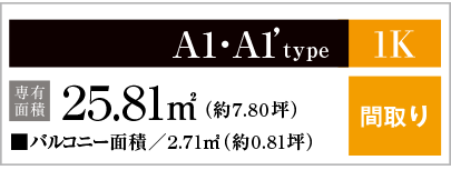 A1・A1'type