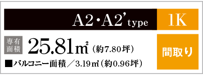 A2・A2'type