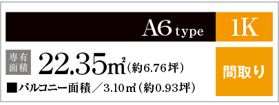 A6type