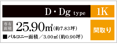 D・Dgtype