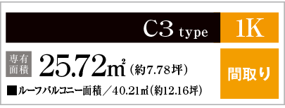 C3type