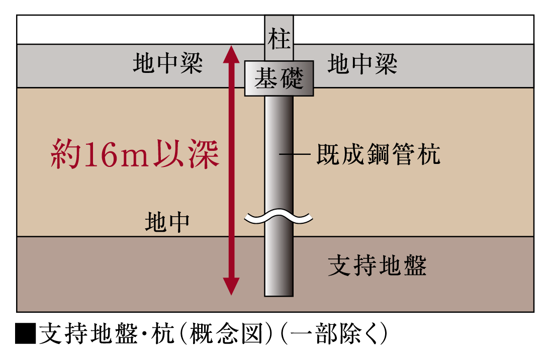 良好な地盤まで打ち込んだ34本の杭（基礎構造）