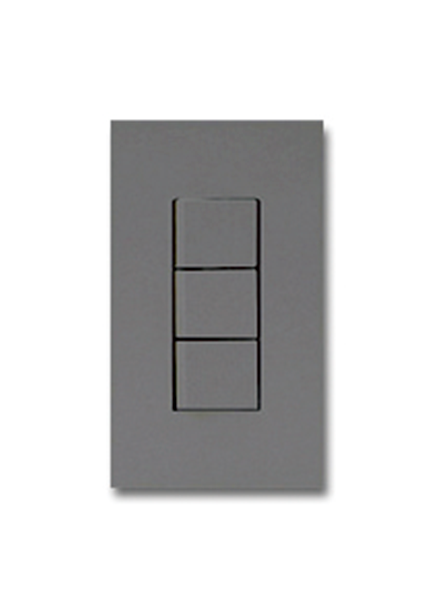 大型プレートスイッチ